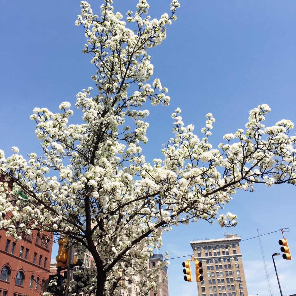 Spring Break Staycation Ideas in Grand Rapids The GR Guide